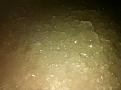 Click image for larger version

Name:	Alum Crystals 002.jpg
Views:	927
Size:	95.2 KB
ID:	44946