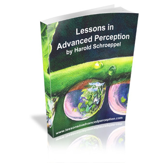 Click image for larger version
Name: lessons_in_advanced_perception.jpg
Views: 1
Size: 49.7 KB
ID: 50792