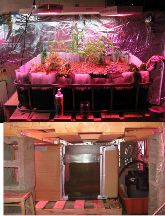 Click image for larger version
Name: aquaponics basement.jpg
Views: 1
Size: 94.6 KB
ID: 50930