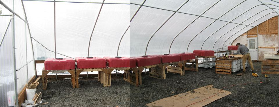 Click image for larger version
Name: aquaponics greenhouse.jpg
Views: 1
Size: 69.2 KB
ID: 50931